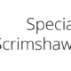 Special Tour of Scrimshaw Exhibition