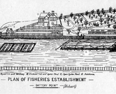 Fisheries establishment
