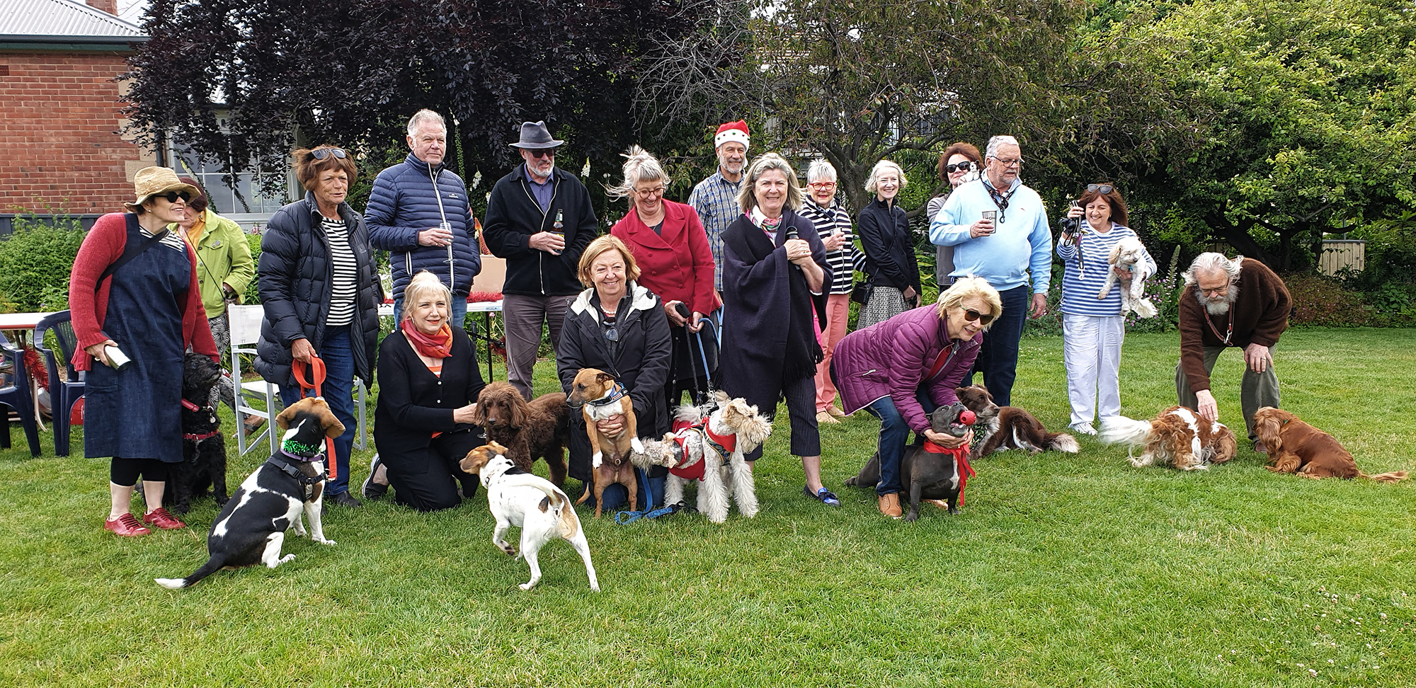 Dogs' Christmas Party 2021
