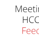 Meeting with HCC CEO Feedback
