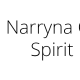 Narryna Christmas Spirit Market